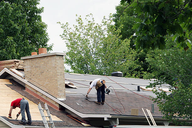Best Storm Damage Roof Repair  in North Hornell, NY